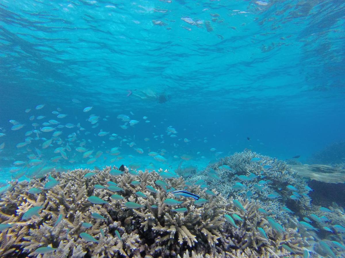 Ukulhas Beach Inn Eksteriør billede